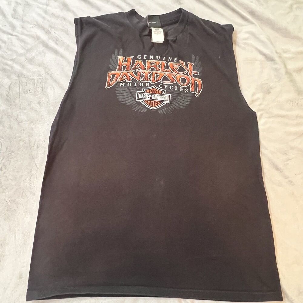 Harley Davidson Mens L Northern Lights Arbor Vitae WI Grizzly Wildlife T Shirt